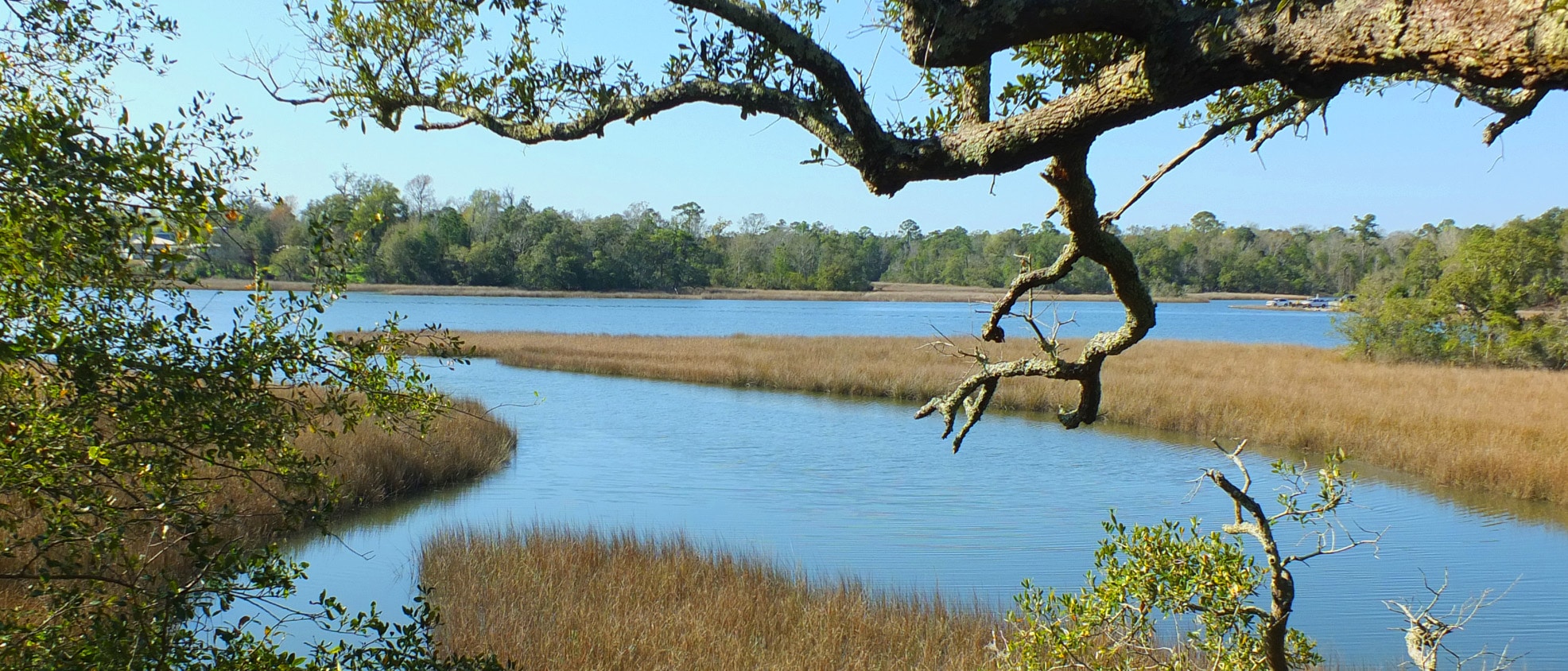 4 Amazing Park Perks of Davis Bayou in Ocean Springs | Our Mississippi Home