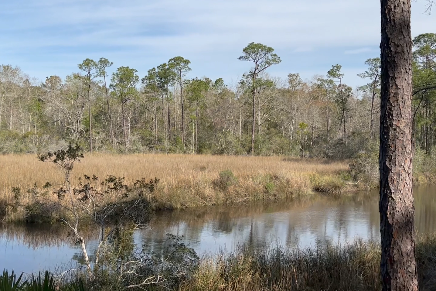 The Best Nature Trails on the Mississippi Gulf Coast | Our Mississippi Home